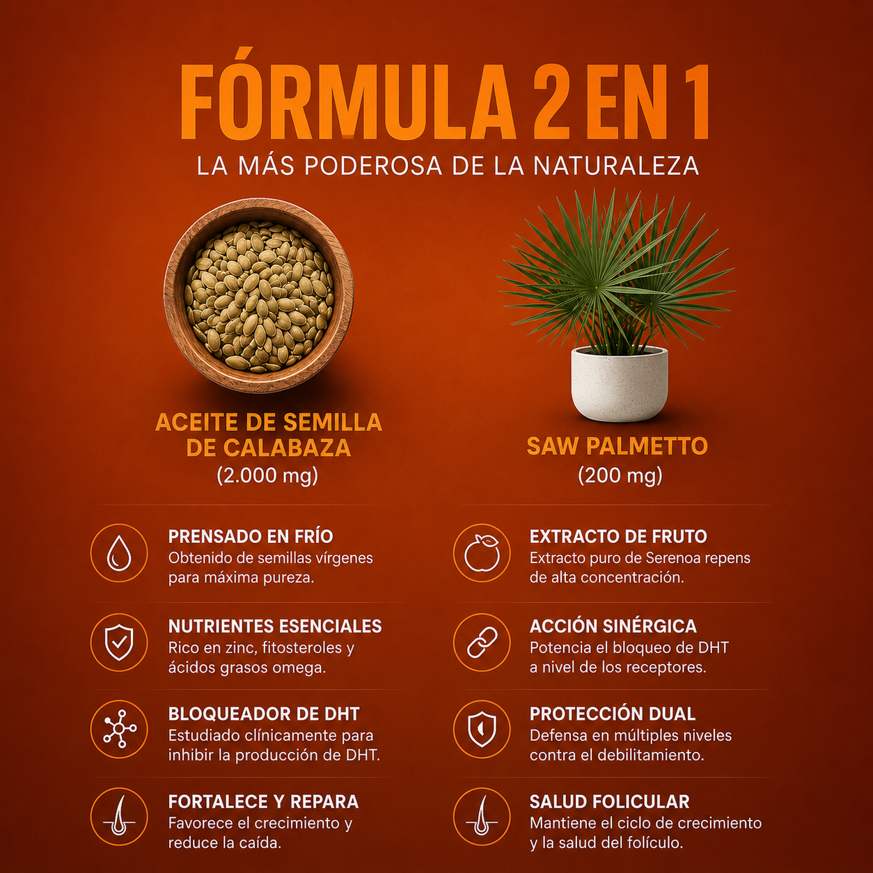 Cucurbita | Crecimiento, Fuerza y Densidad
