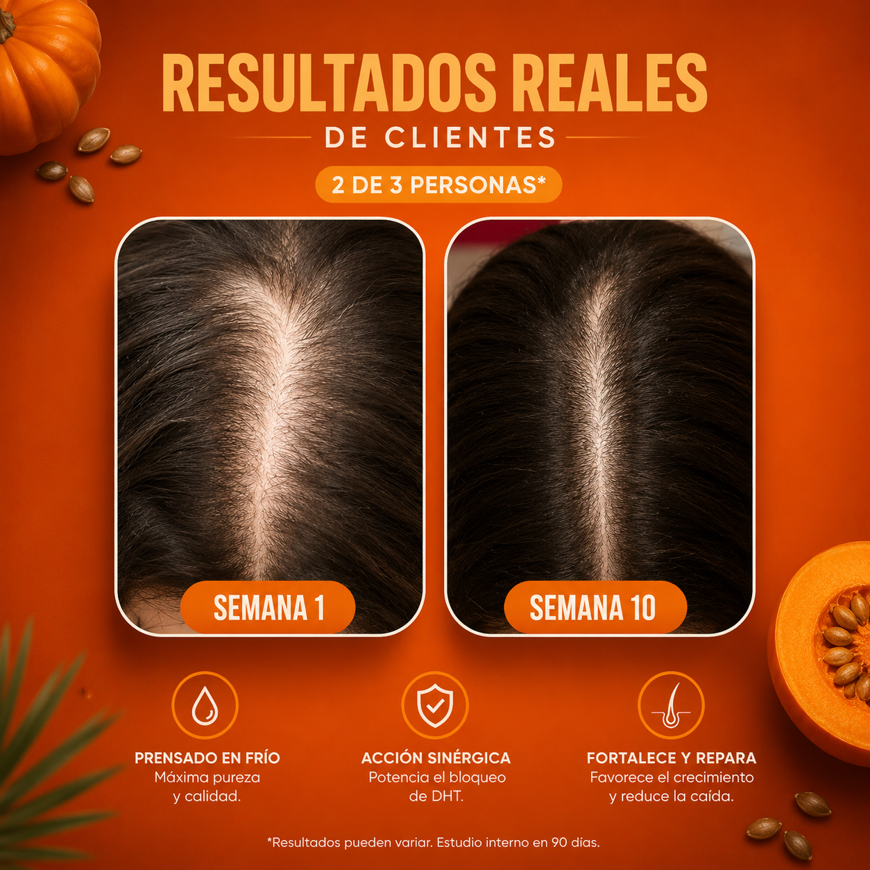 Cucurbita | Crecimiento, Fuerza y Densidad